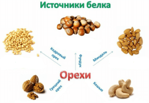 Содержание белков